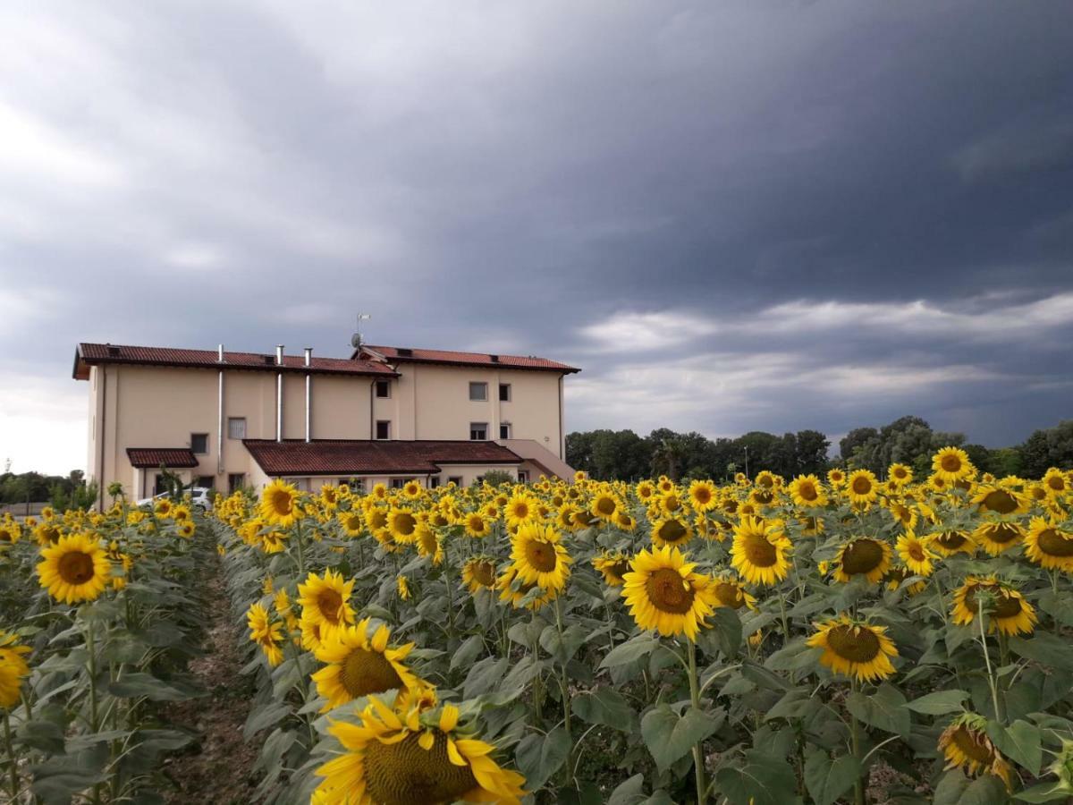 Al Cavaliere Villa Pordenone Oda fotoğraf