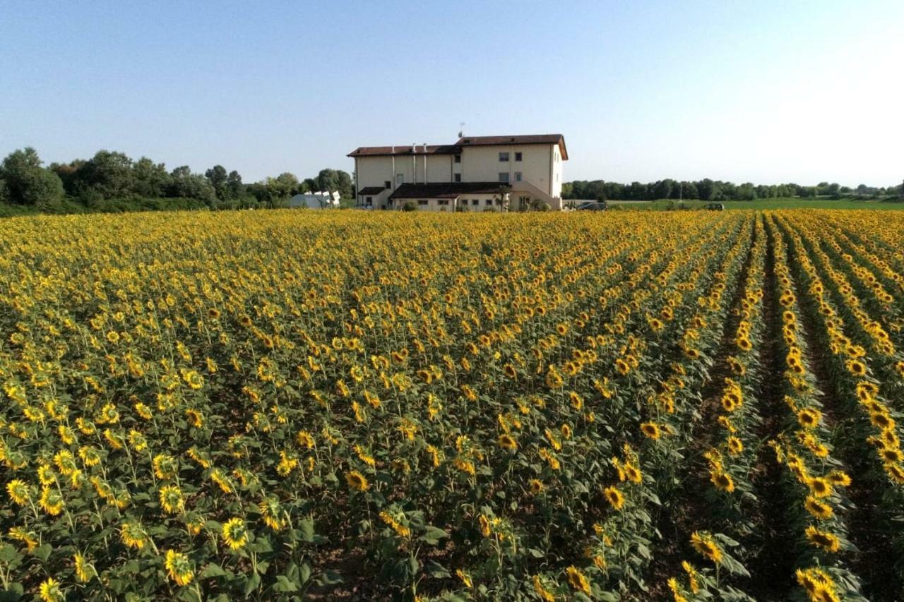 Al Cavaliere Villa Pordenone Dış mekan fotoğraf